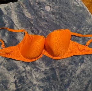 30F Cleo By Panache Bra